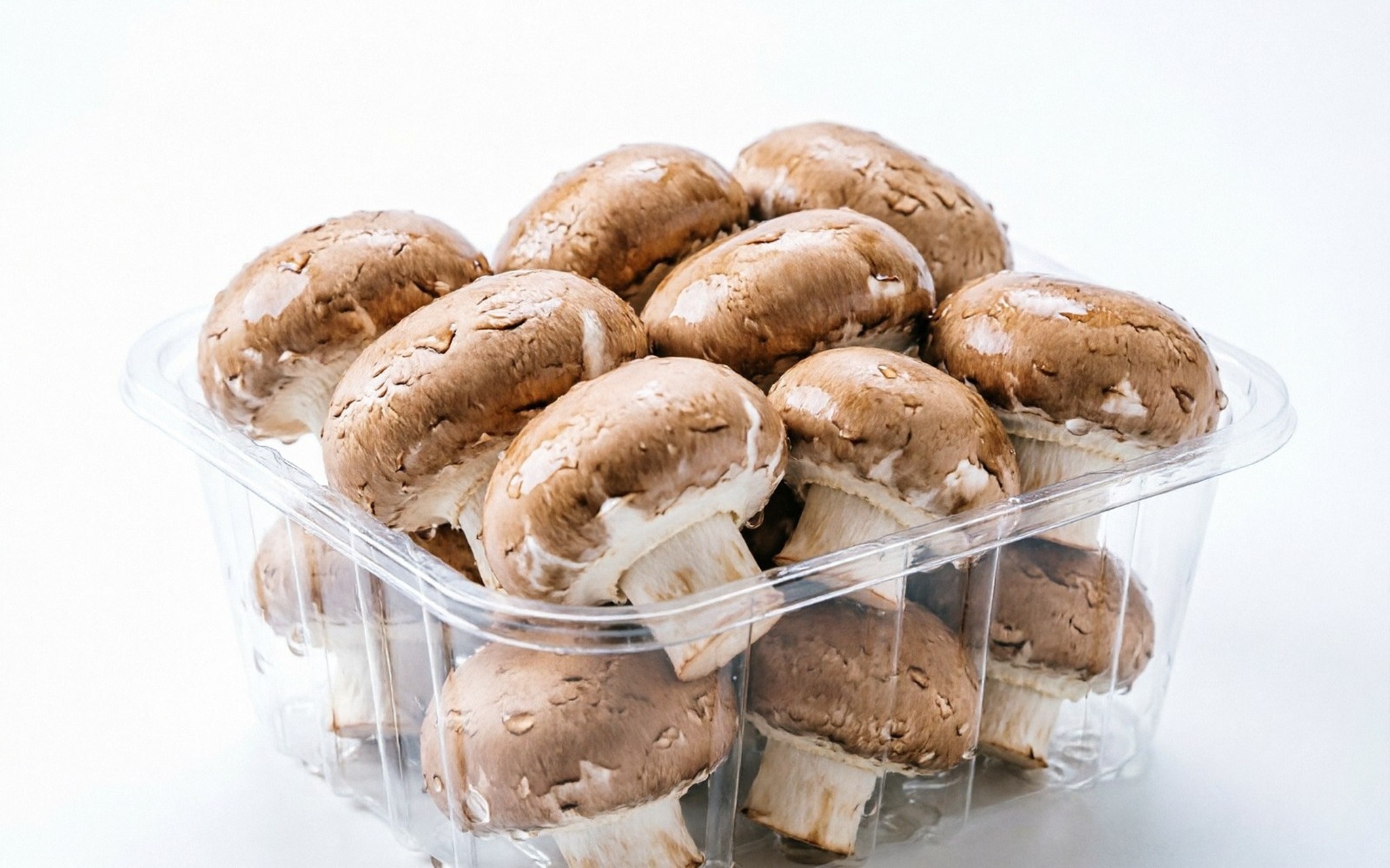 Store-bought mushrooms in a plastic container