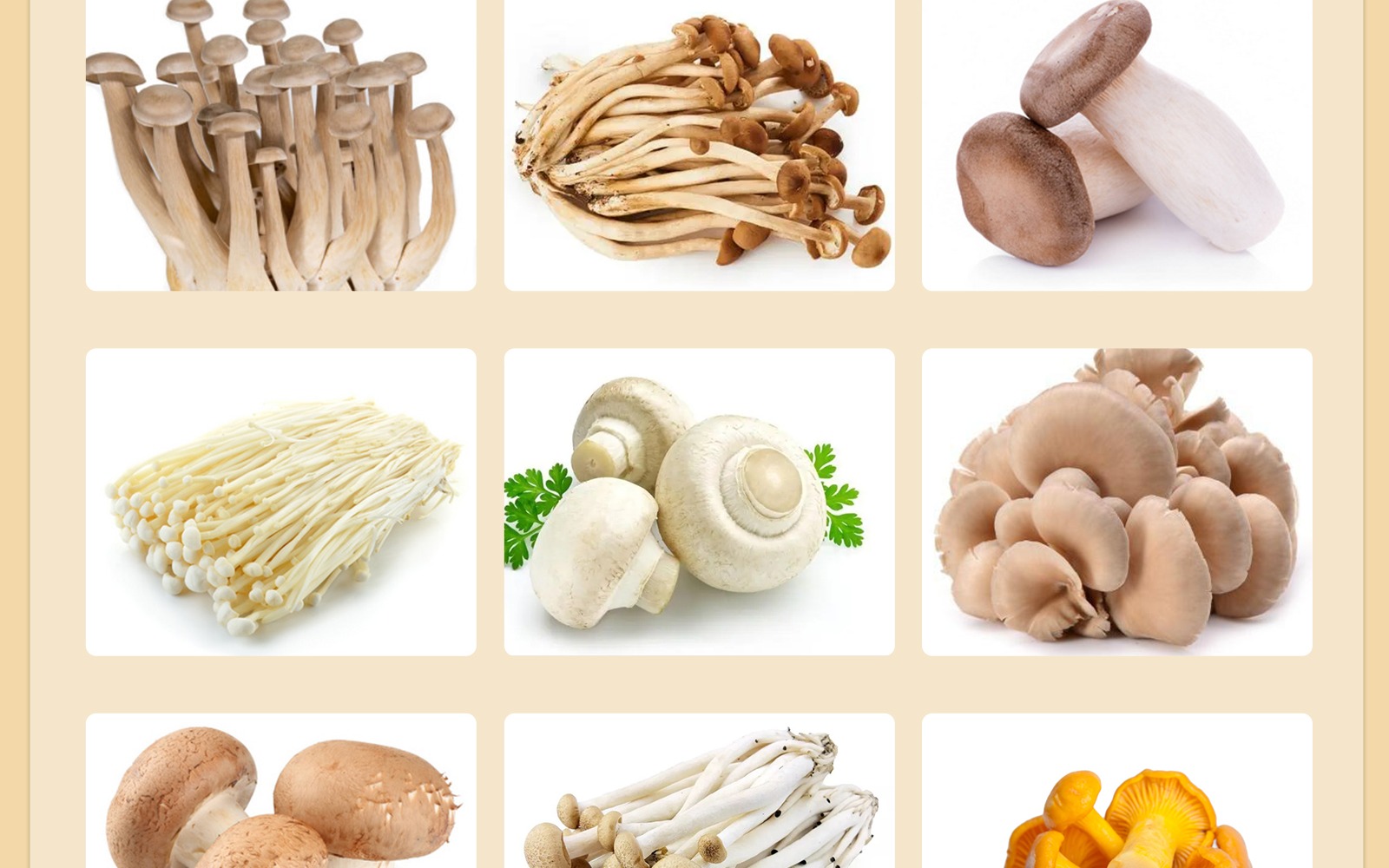 Nine mushroom varieties grown in the SUPERCOOL chamber