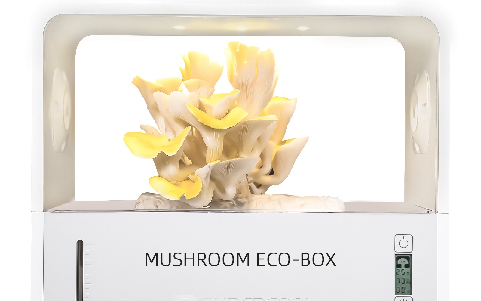 SUPERCOOL SmartFungi Box with growing mushrooms