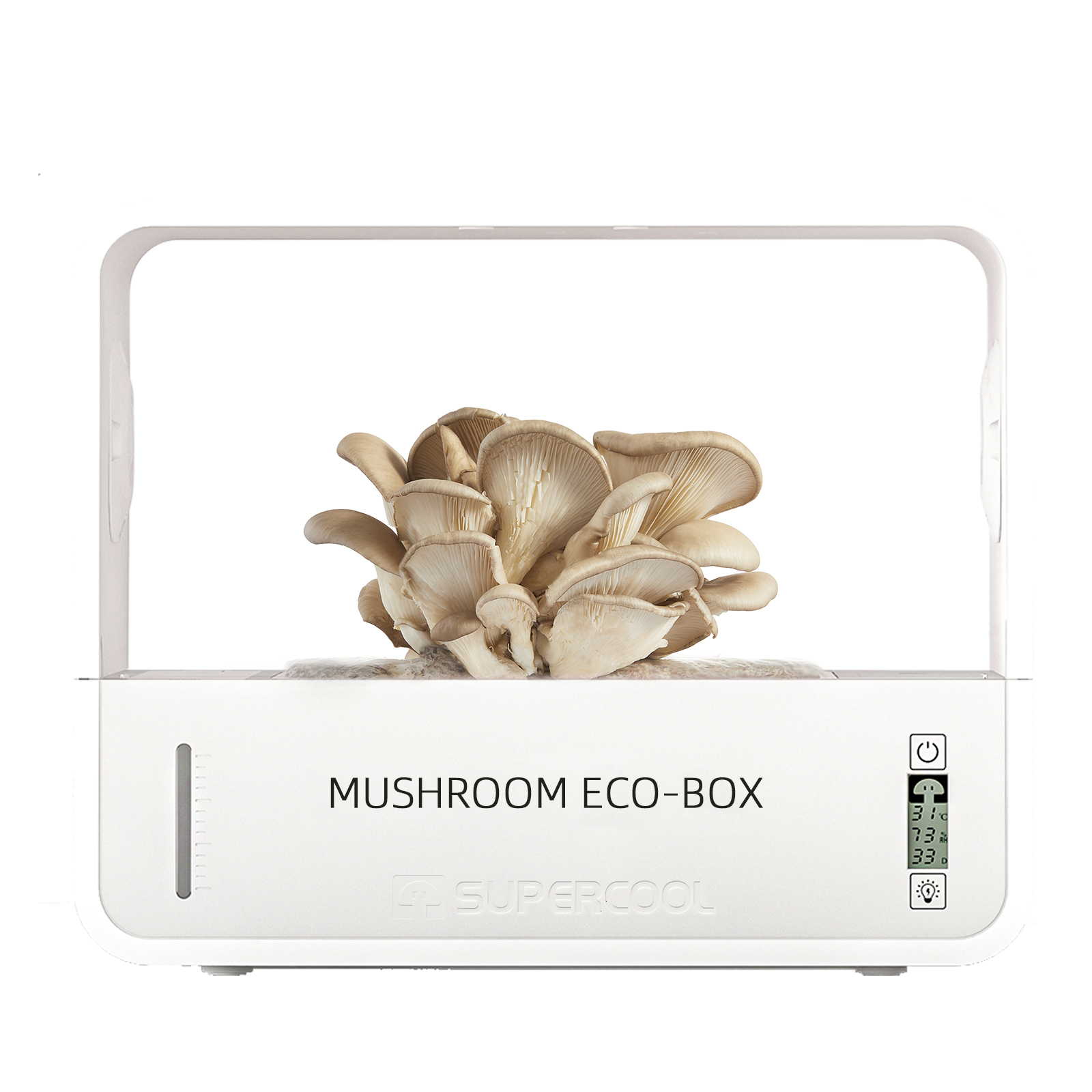 SUPERCOOL SmartFungi Box with mushrooms fruiting in growth chamber