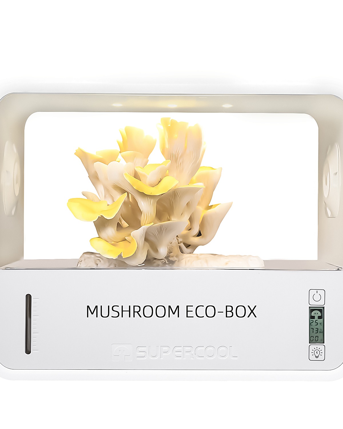 SUPERCOOL chamber with growing mushrooms